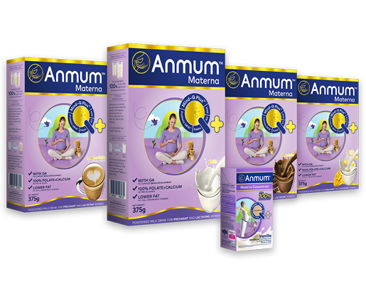 materna product lineup