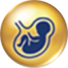 high folic acid