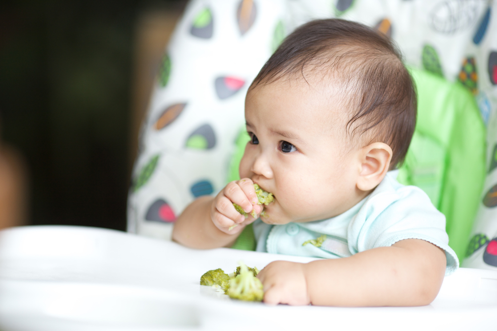 5 Rekomendasi Finger Food yang Aman untuk Bayi