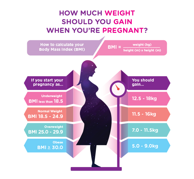 Normal Weight Gain During Pregnancy Chart