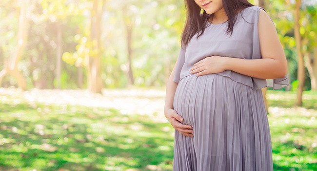 pregnancy-Article-image-650x350.jpg