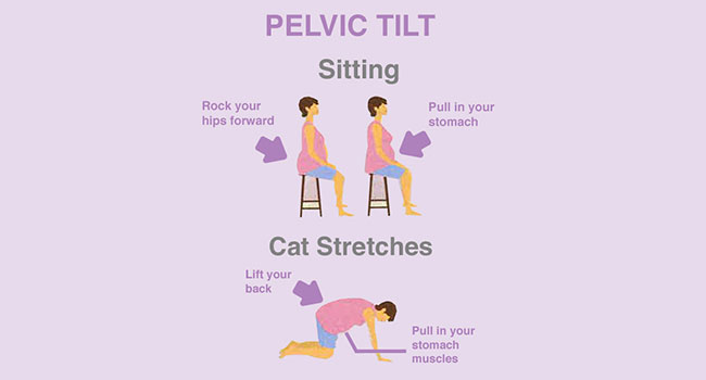 Third trimester pelvic on sale floor exercises